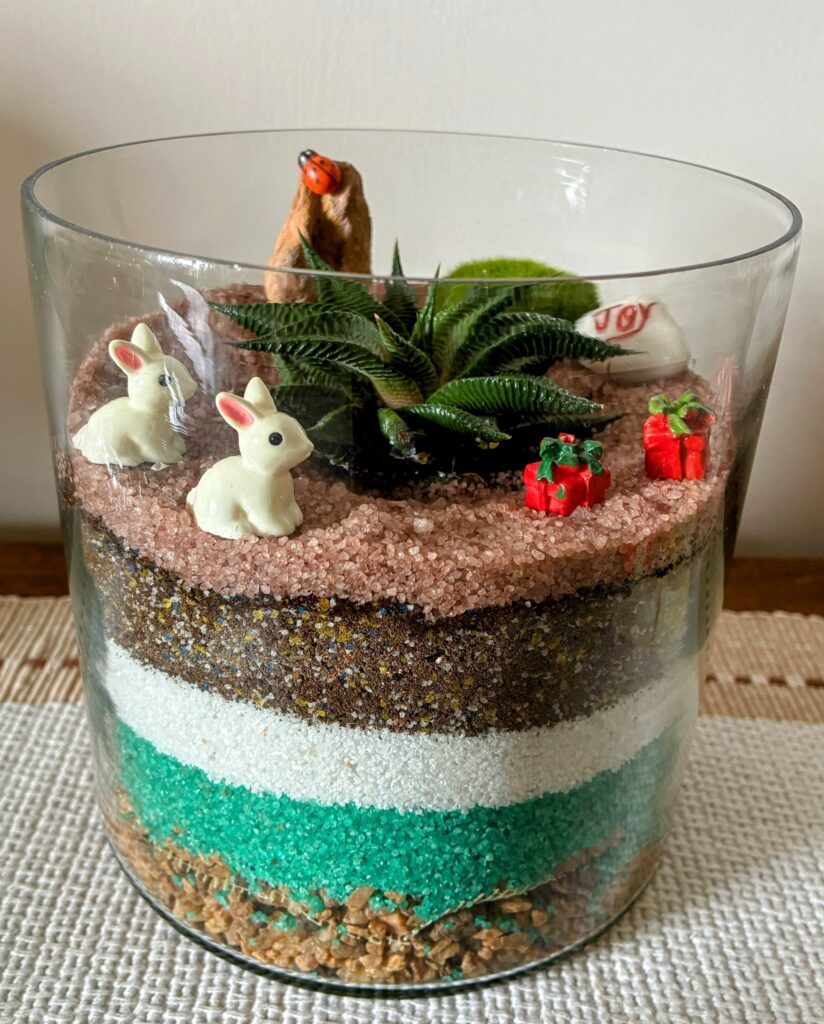Terrarium in a glass jar